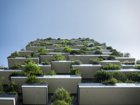 Green Building Statistics
