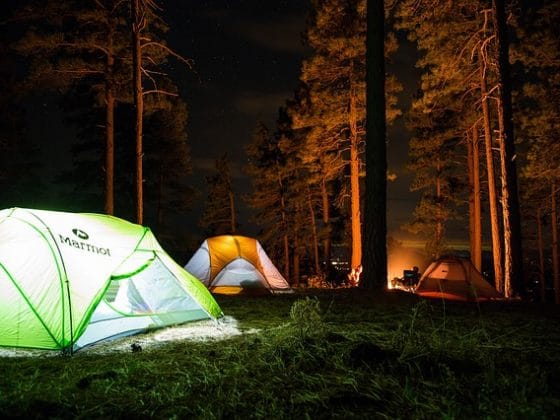 Sleep Junkie Pays Family Camping Trip