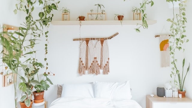 Boho Bedroom Ideas - Boho Plants