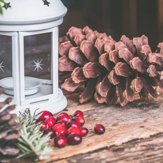 Enchanting Natural Christmas Decorations
