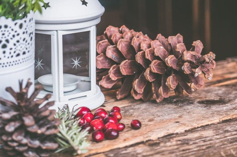Enchanting Natural Christmas Decorations