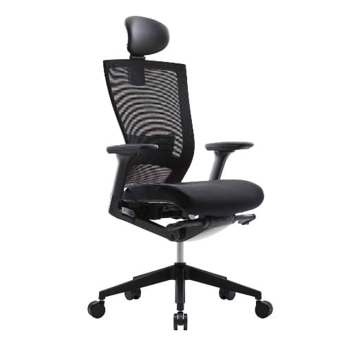 SIDIZ T50 Home Office Desk Chair: Ergonomic Office Chair