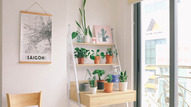 Design an Inclined Bamboo or Wooden Potted Plant Display