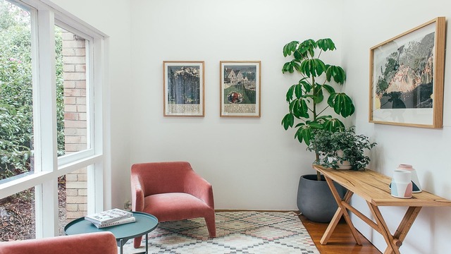 Enhance an Otherwise Dull Corner with a Tall House Plant