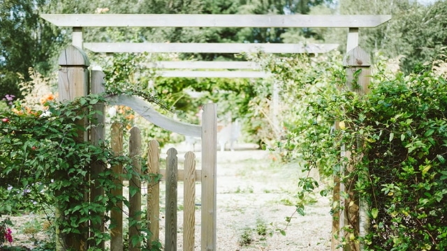 Rustic Fence