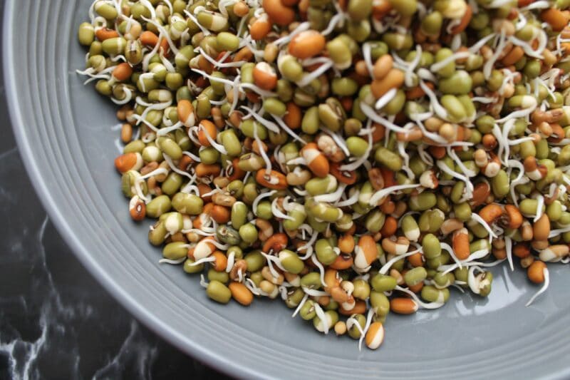 How to grow mung bean sprouts