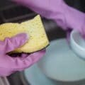 Why Kitchen Sponges Are Bacteria’s Lux Suites