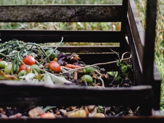 How to Store Compost