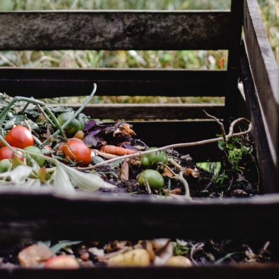How to Store Compost