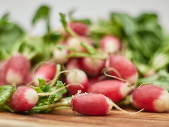 When to Harvest Radishes