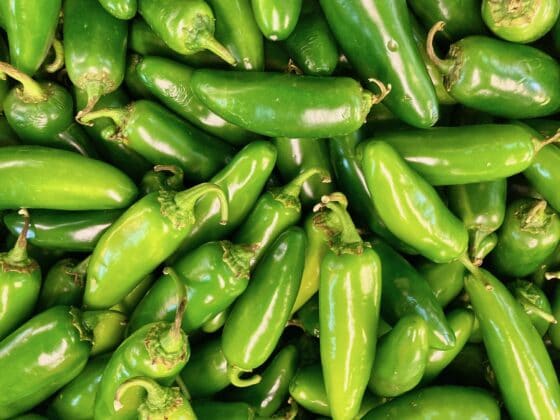 How to grow jalapenos from seeds