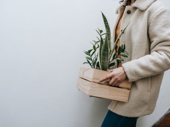 How to Pack Plants for Moving