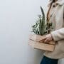 How to Pack Plants for Moving