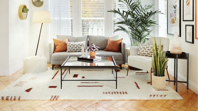 Large Light-Colored Rugs