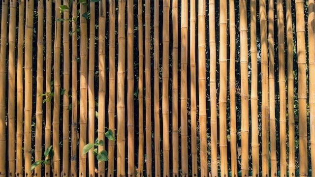 Plain Bamboo Fence for Privacy