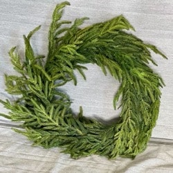 Afloral Real Touch Norfolk Pine Wreath