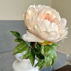 Blush Real Touch Peony