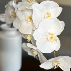 Large White Real Touch Fake Orchids